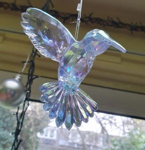 Vogel bij daglicht